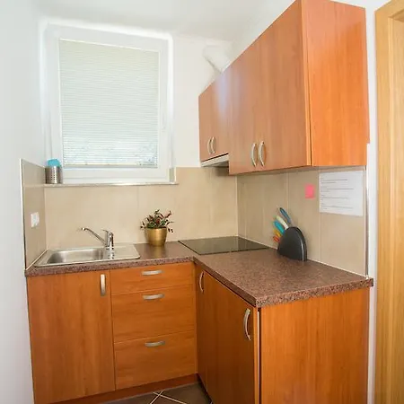 Apartments Benedicic Bled Room photo